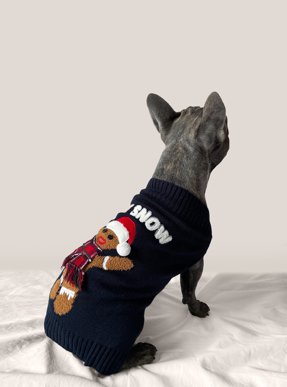 silbar mundo alquiler Jersey de Navidad para perros con el hombre de jengibre